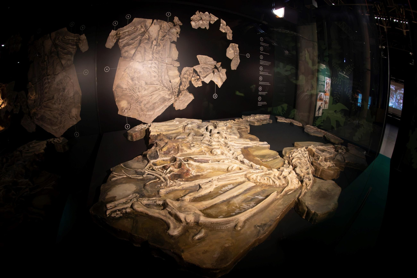 Así se han apoderado los dinosaurios del Parque de las Ciencias de Granada