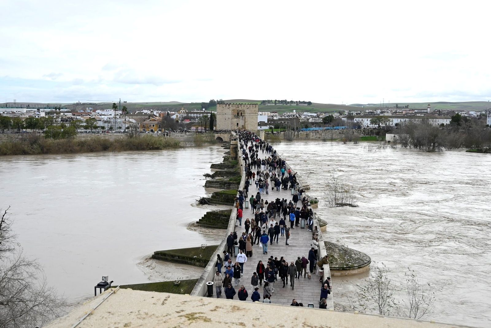 El Puente Romano de Córdoba reabre tras el temporal, en fotos