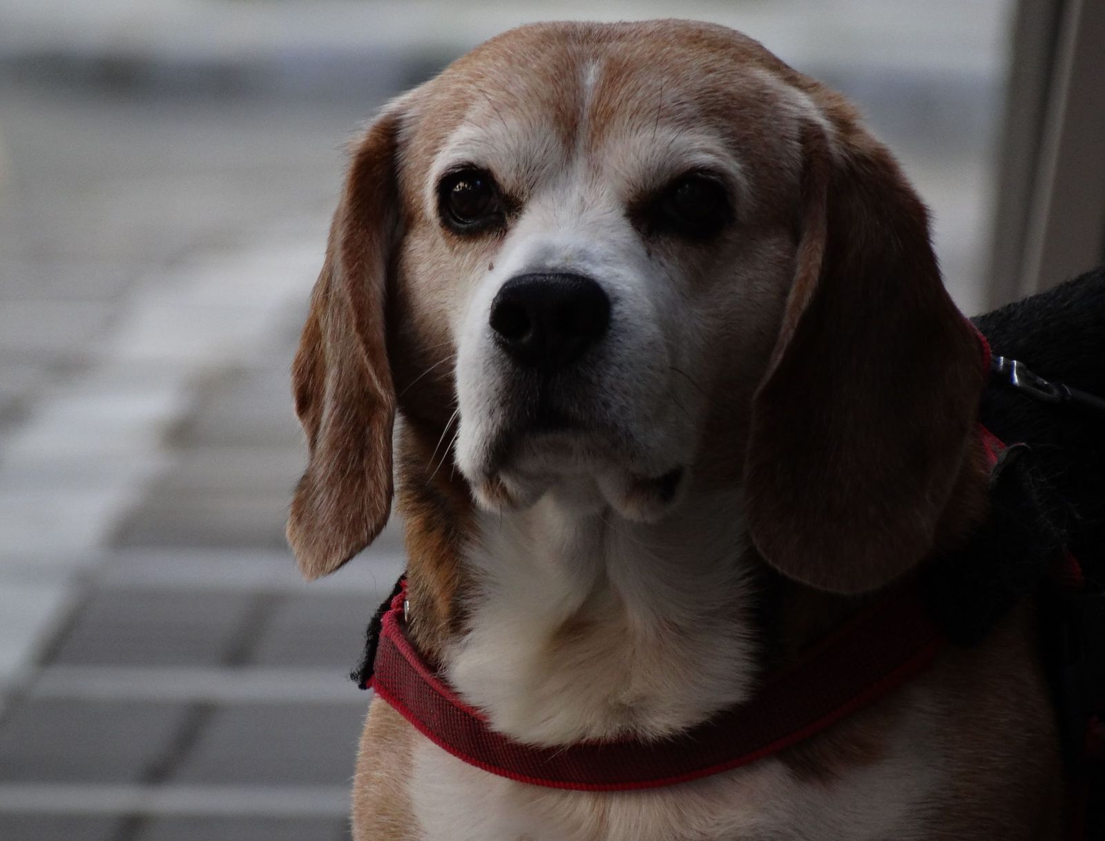 Fotografías de ambiente en la mañana del jueves