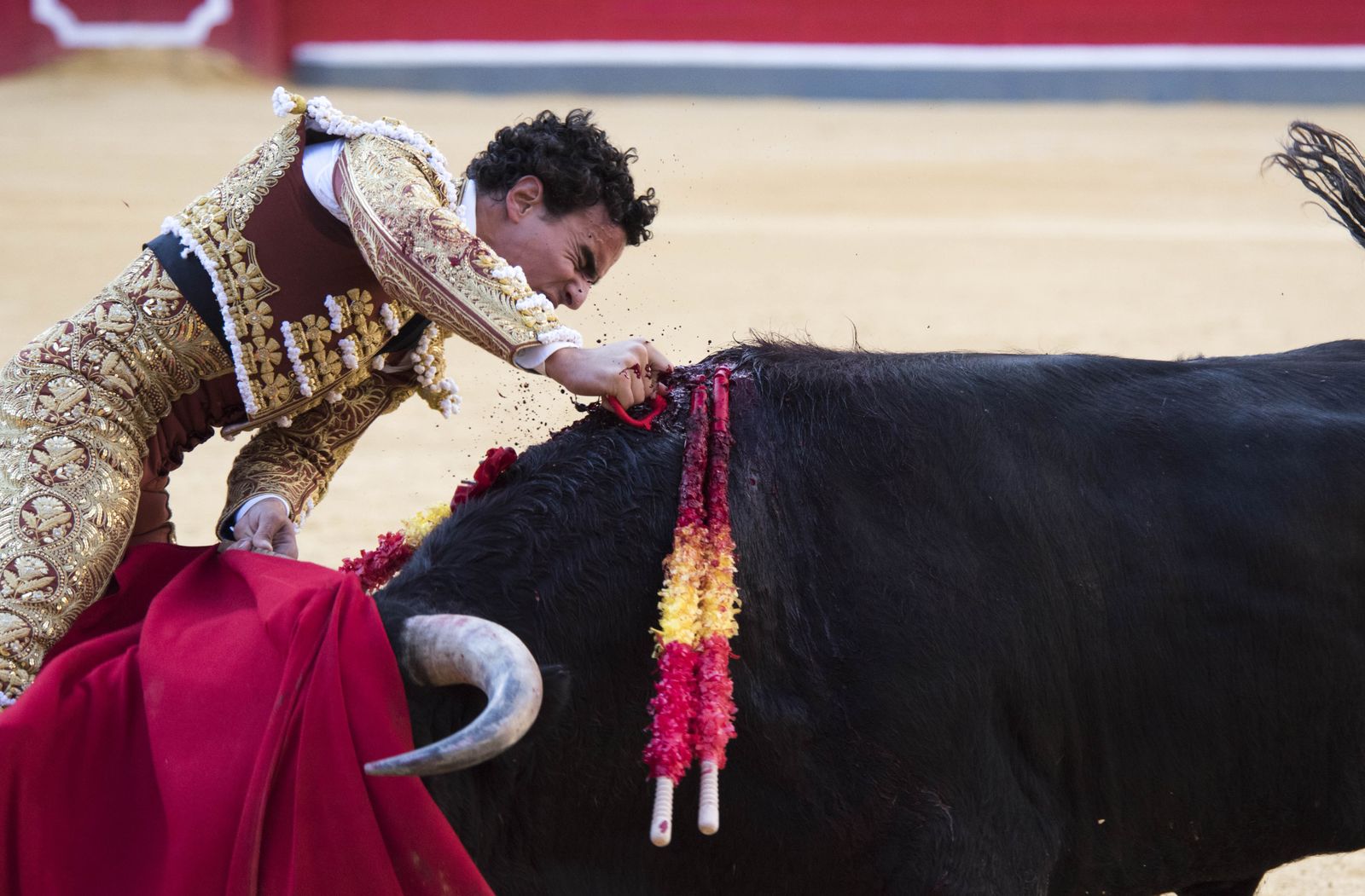 El peruano Joaquín Galdós entrando a matar demostrando la hondura de su toreo.
