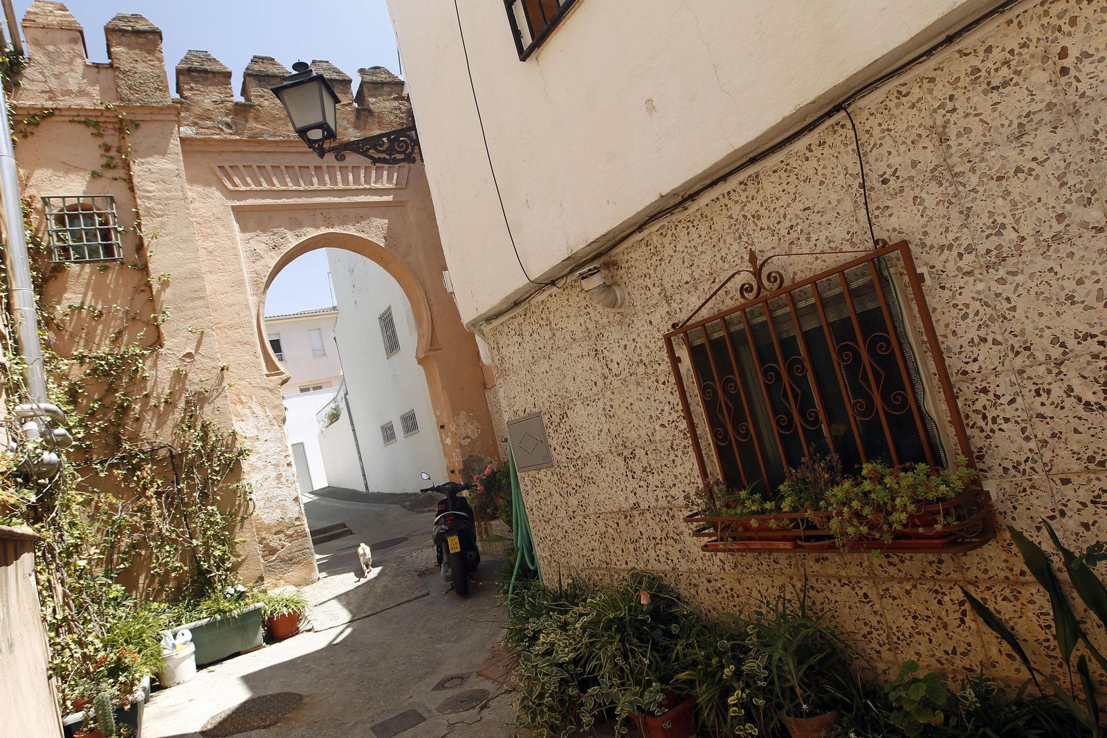 La Lancha del Genil requiere intervenciones urgentes según Cs.