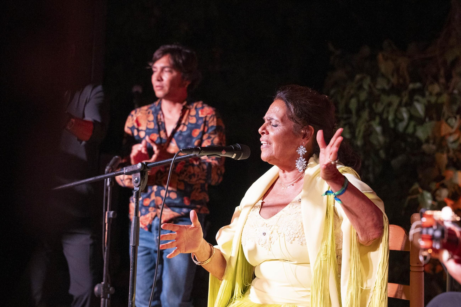 Las mejores imágenes del Festival de Flamenco en Fondón