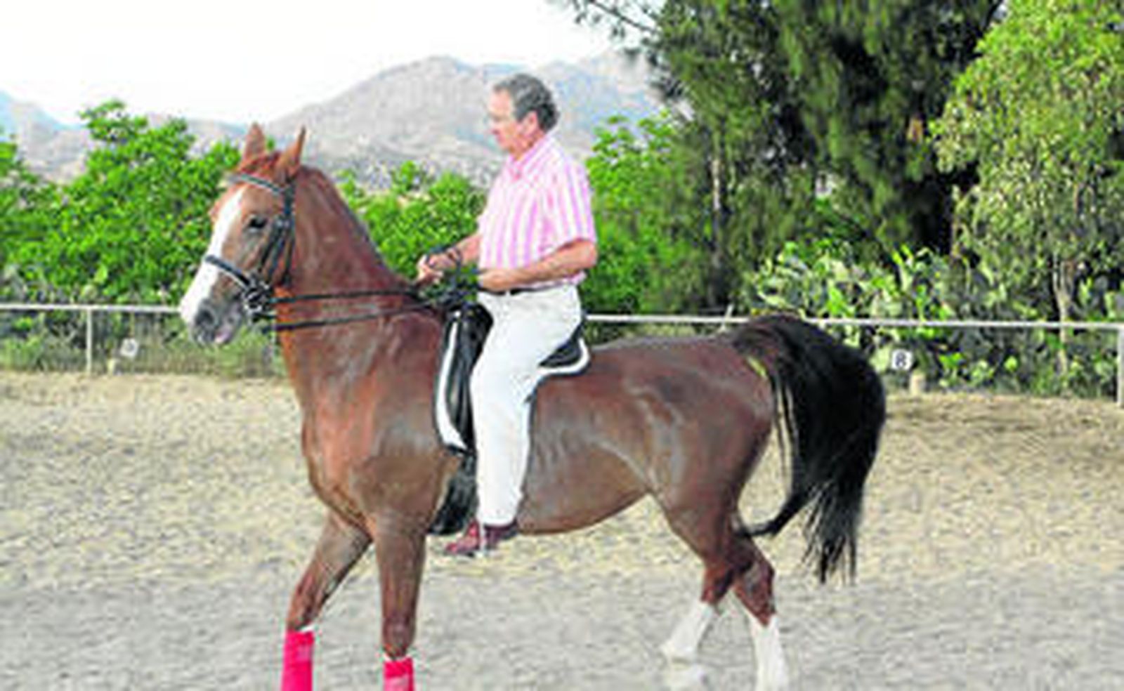 "La playa sería un lugar maravilloso para hacer carreras de caballos"