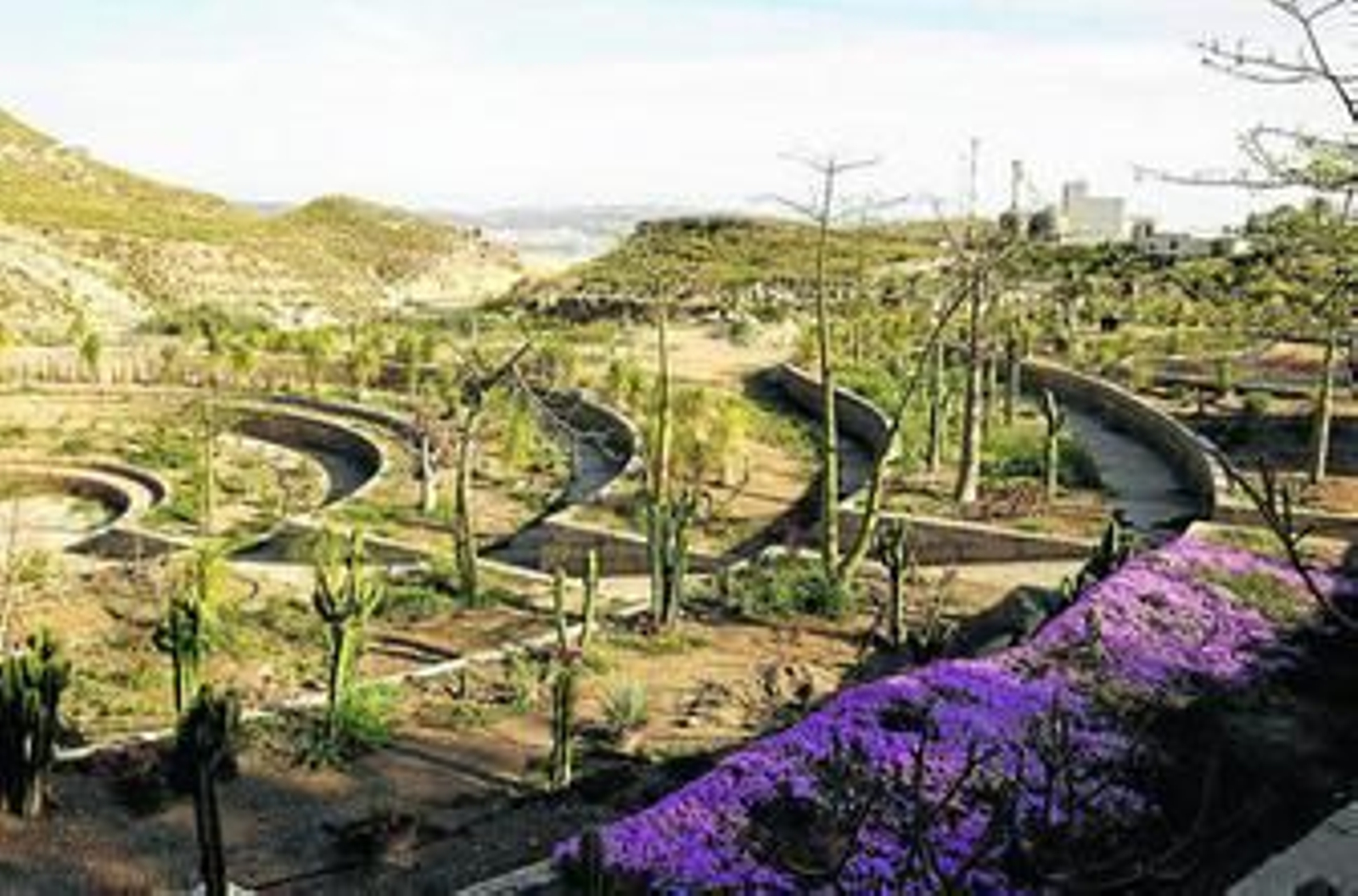 El paraíso de los cactus