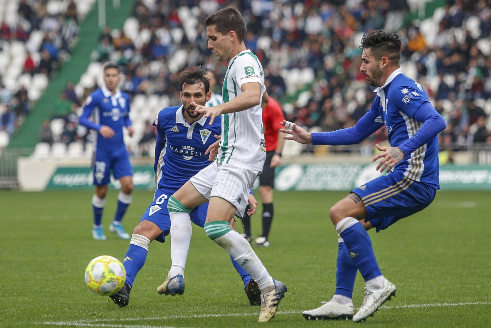 Las fotos del Córdoba CF - Marbella