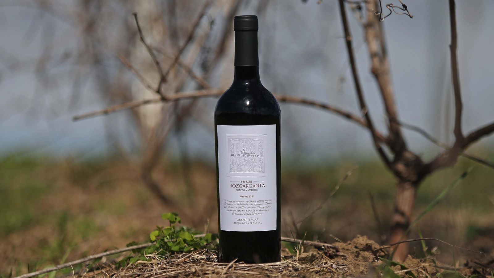 Diseño de una de las primeras botellas de Ribera de Hozgarganta.