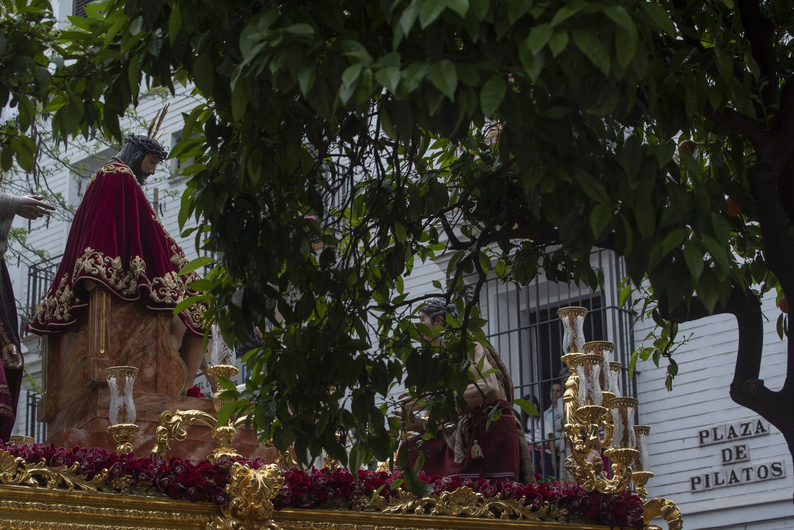 La Hermandad de San Esteban , en imágenes