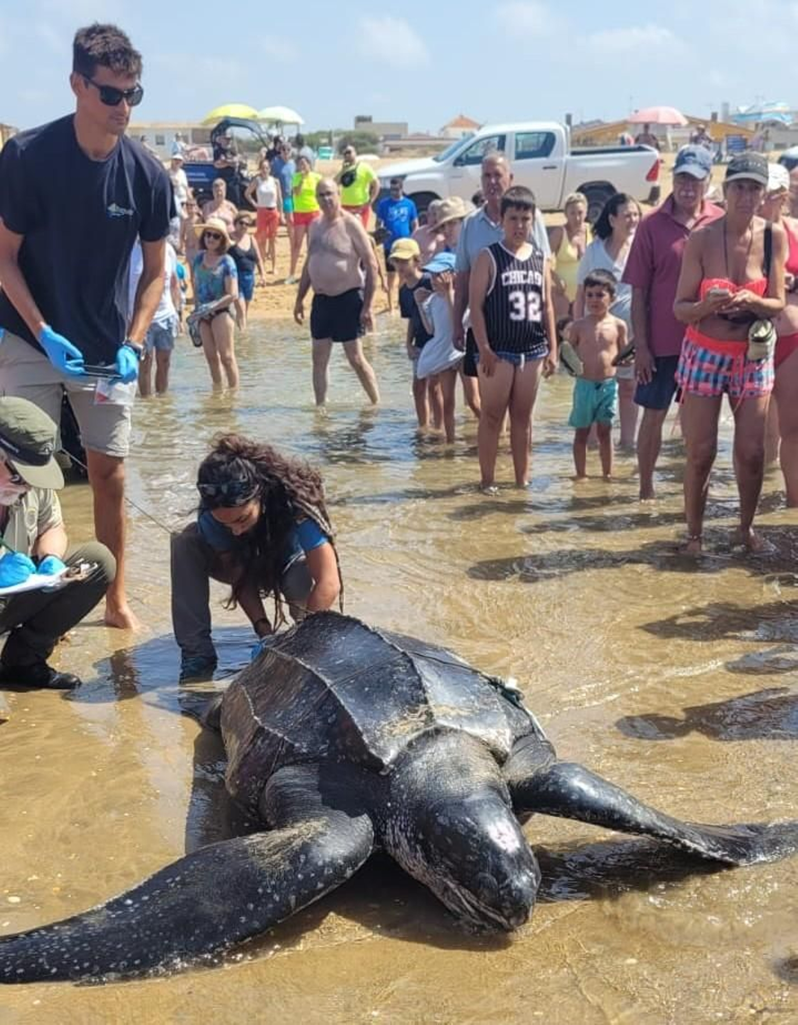 Los agentes de Medio Ambiente analizan el hallazgo.
