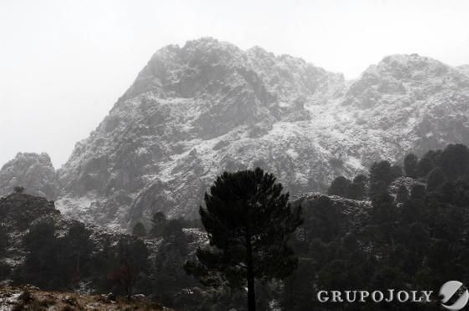 Foto: Ramón Aguilar
