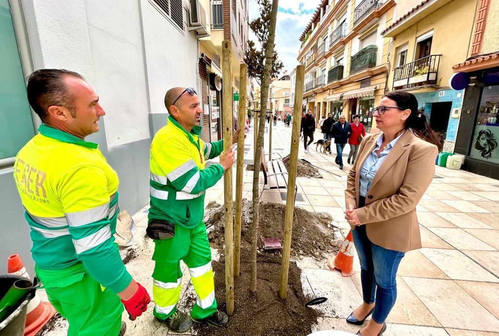 La plantación de magnolios en la calle Camino de Málaga de Vélez-Málaga