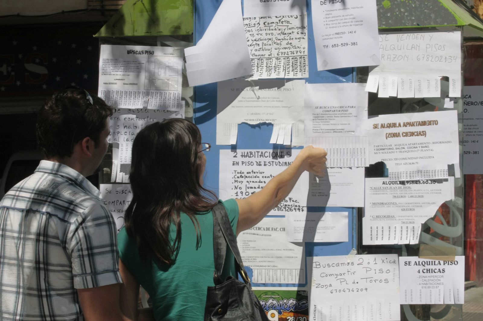 Carteles de alquiler de pisos para estudiantes.