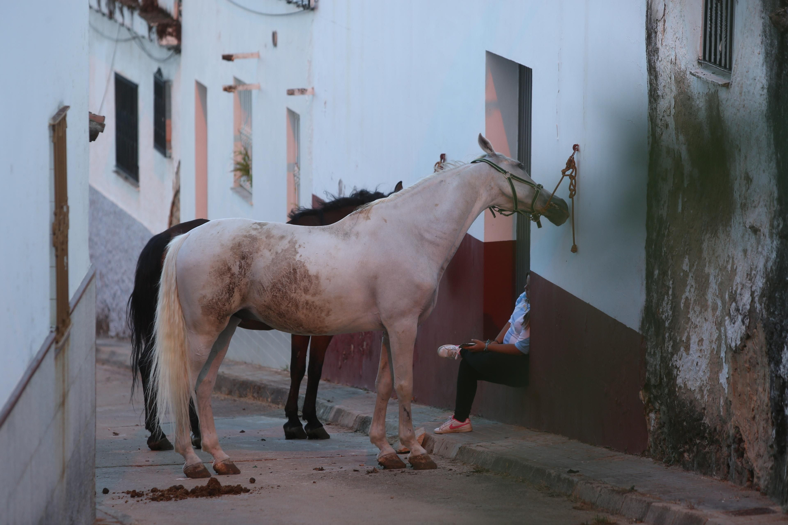 El incendio de Riotinto en imágenes