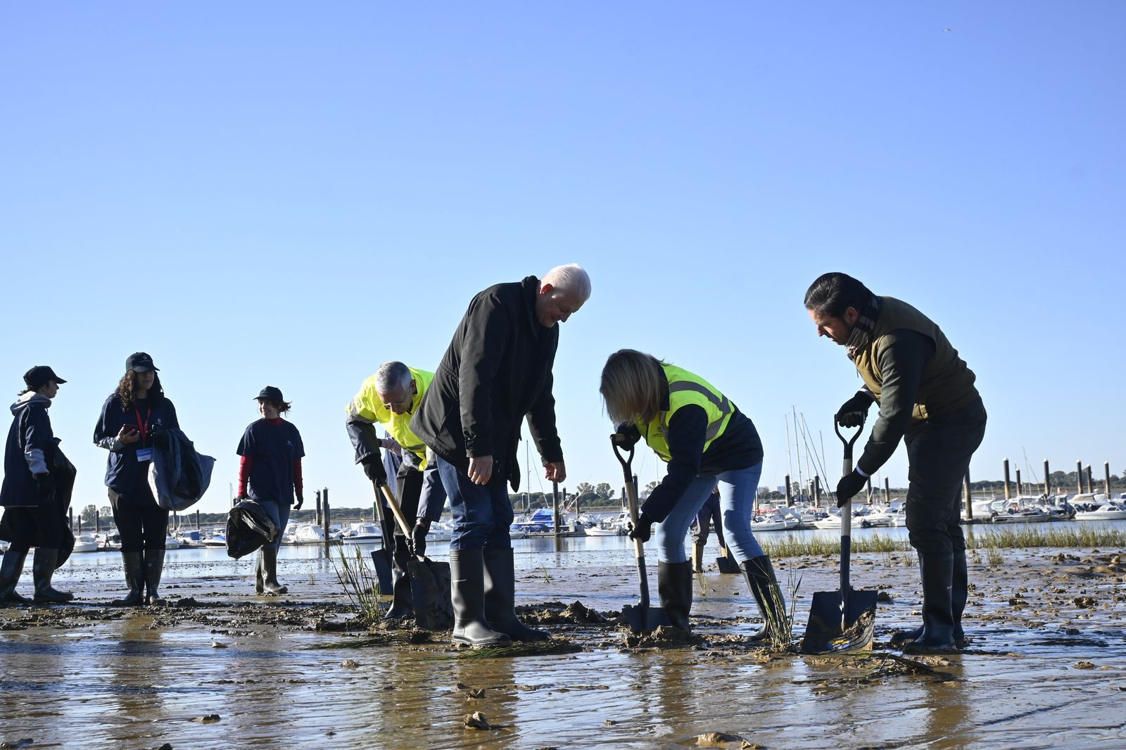 Plantación de la especie autóctona Espartina Marítima en imágenes