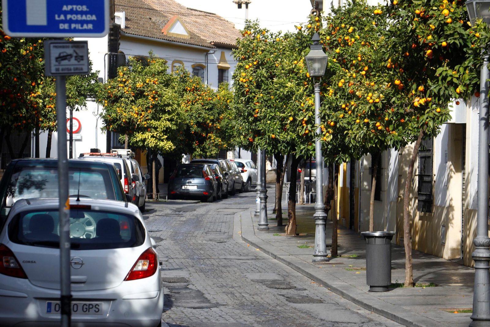 Un paseo en imágenes por el barrio de Santa Marina en pleno invierno