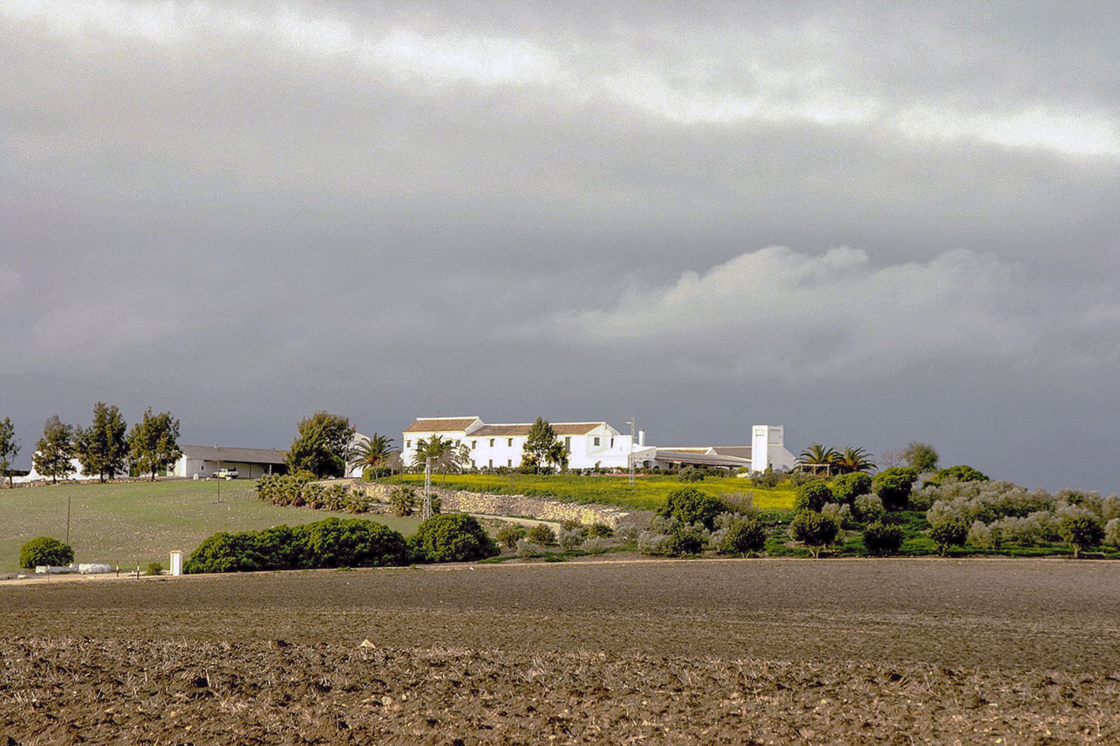 Zona cercana al Cortijo Alijar donde Cepsa desarrollará su primer parque eólico.