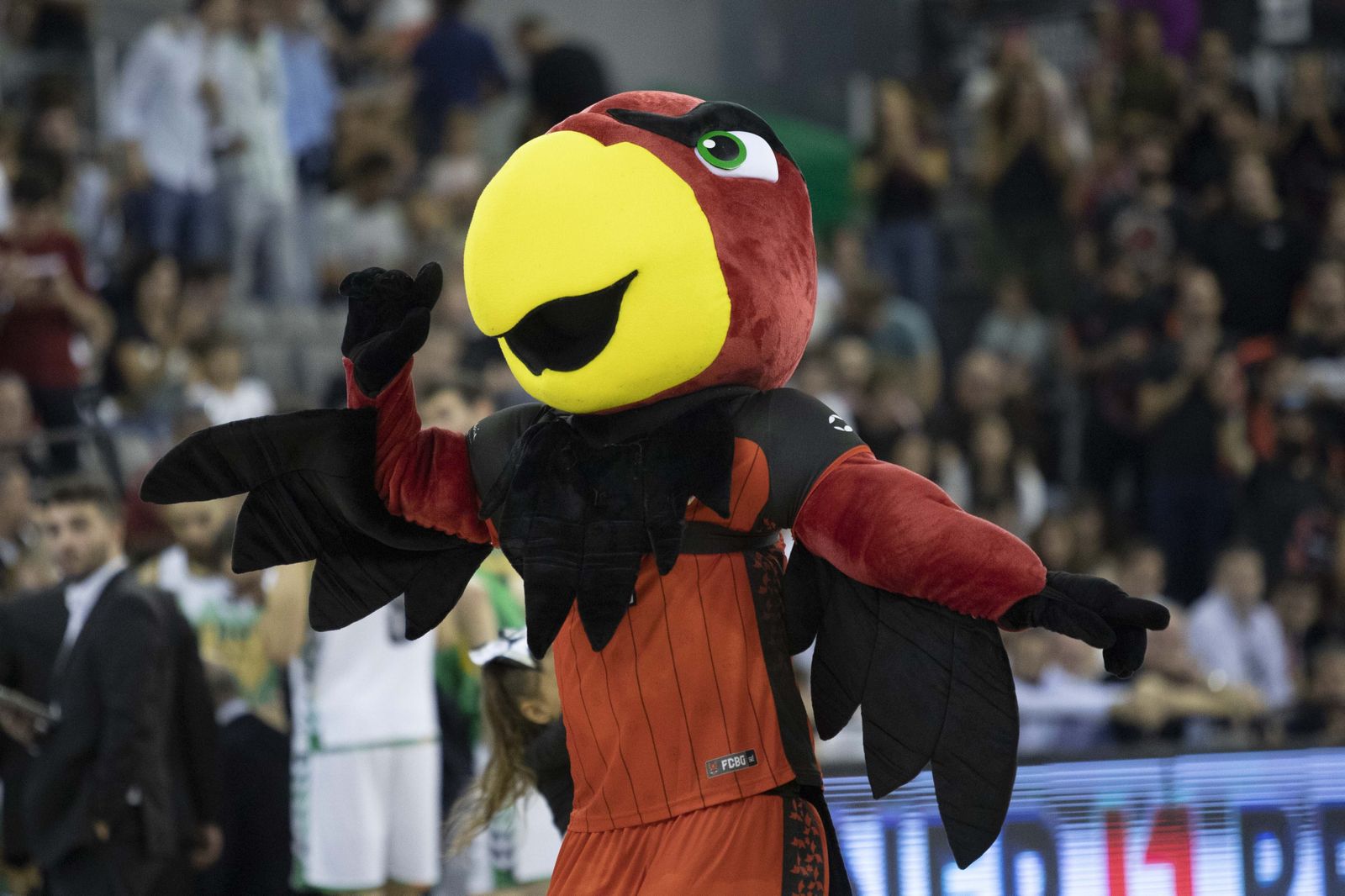 El Covirán Granada-Bilbao Basket, en imágenes