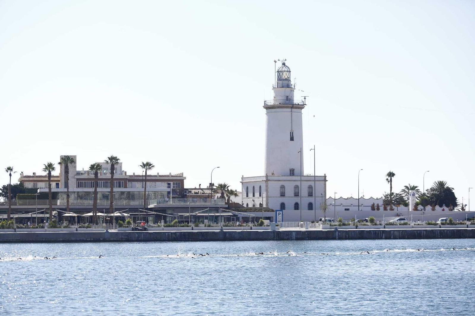 La 62 Travesía a Nado del Puerto de Málaga, en fotos