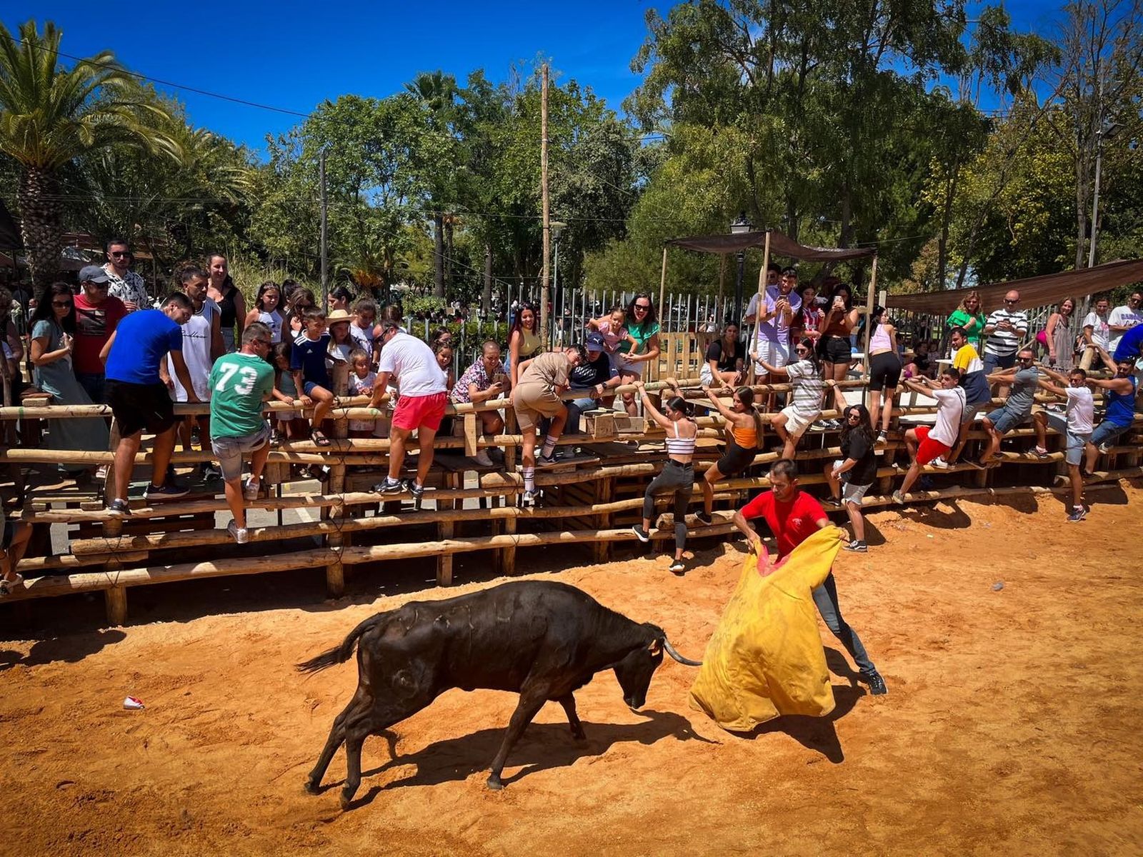 FIESTAS TAURINAS TRADICIONALES TRIGUEROS