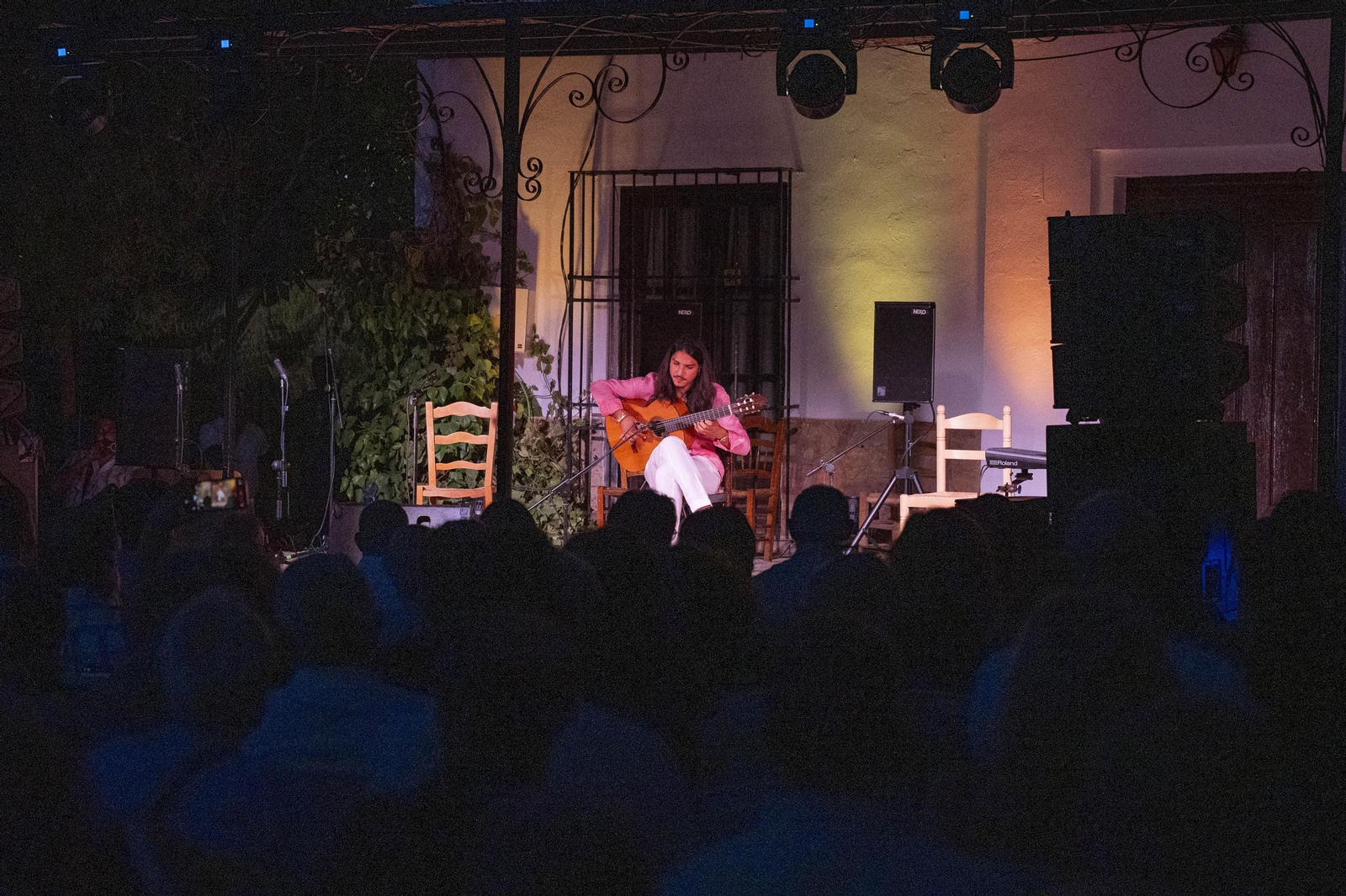 Las mejores imágenes del Festival de Flamenco en Fondón