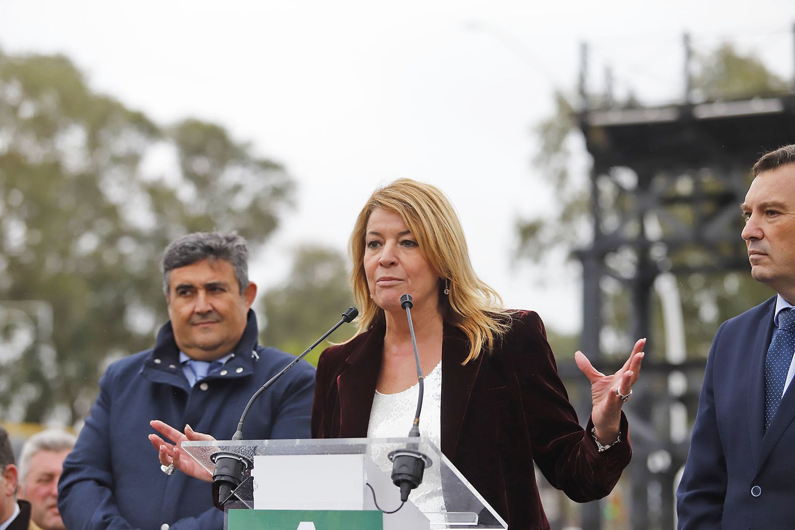 Imágenes del acto del acto del Día de la Bandera de Andalucía