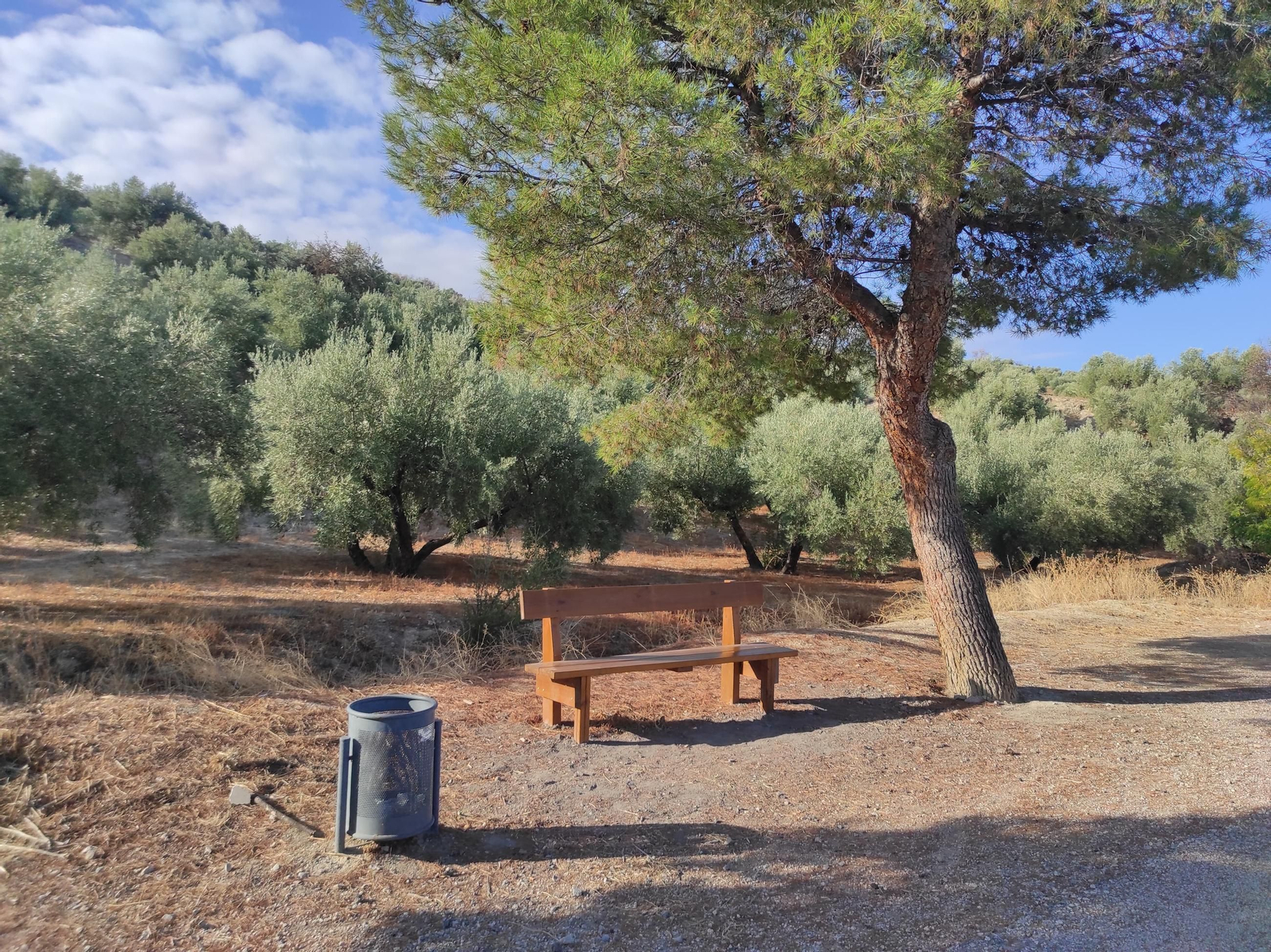 De Torredelcampo a Porcuna por la Vía Verde del Aceite: túneles, pasarelas y arte