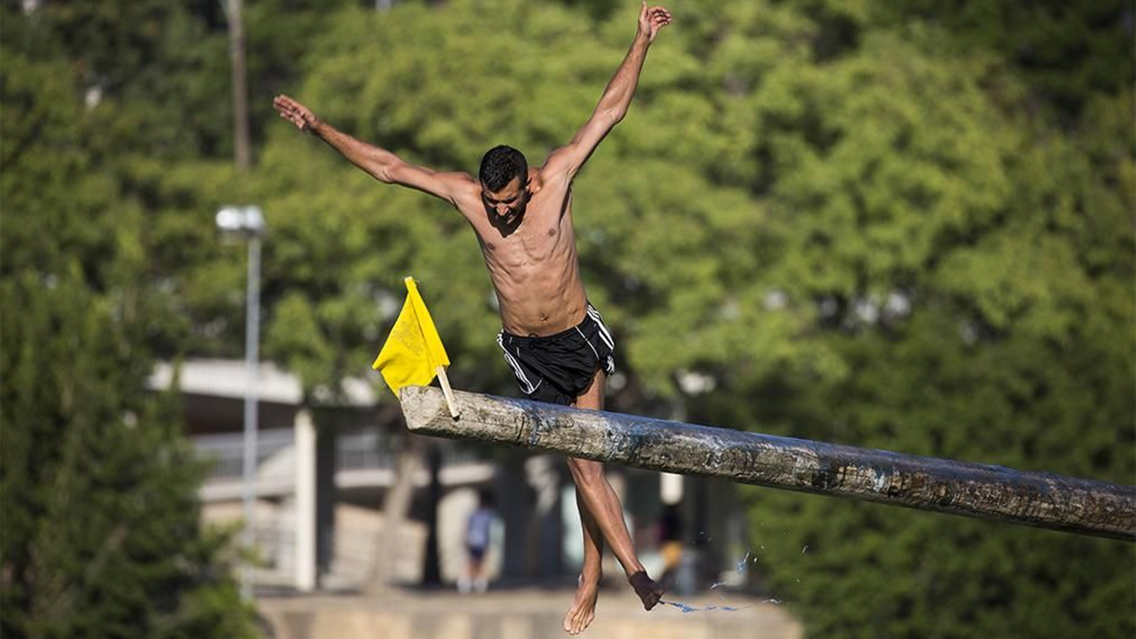 las imagenes de la cucaña