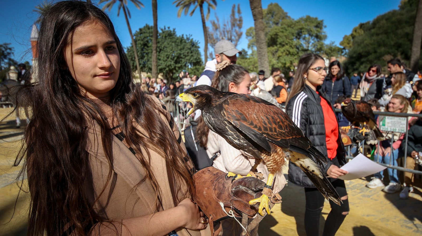 Búscate en San Antón de Jerez
