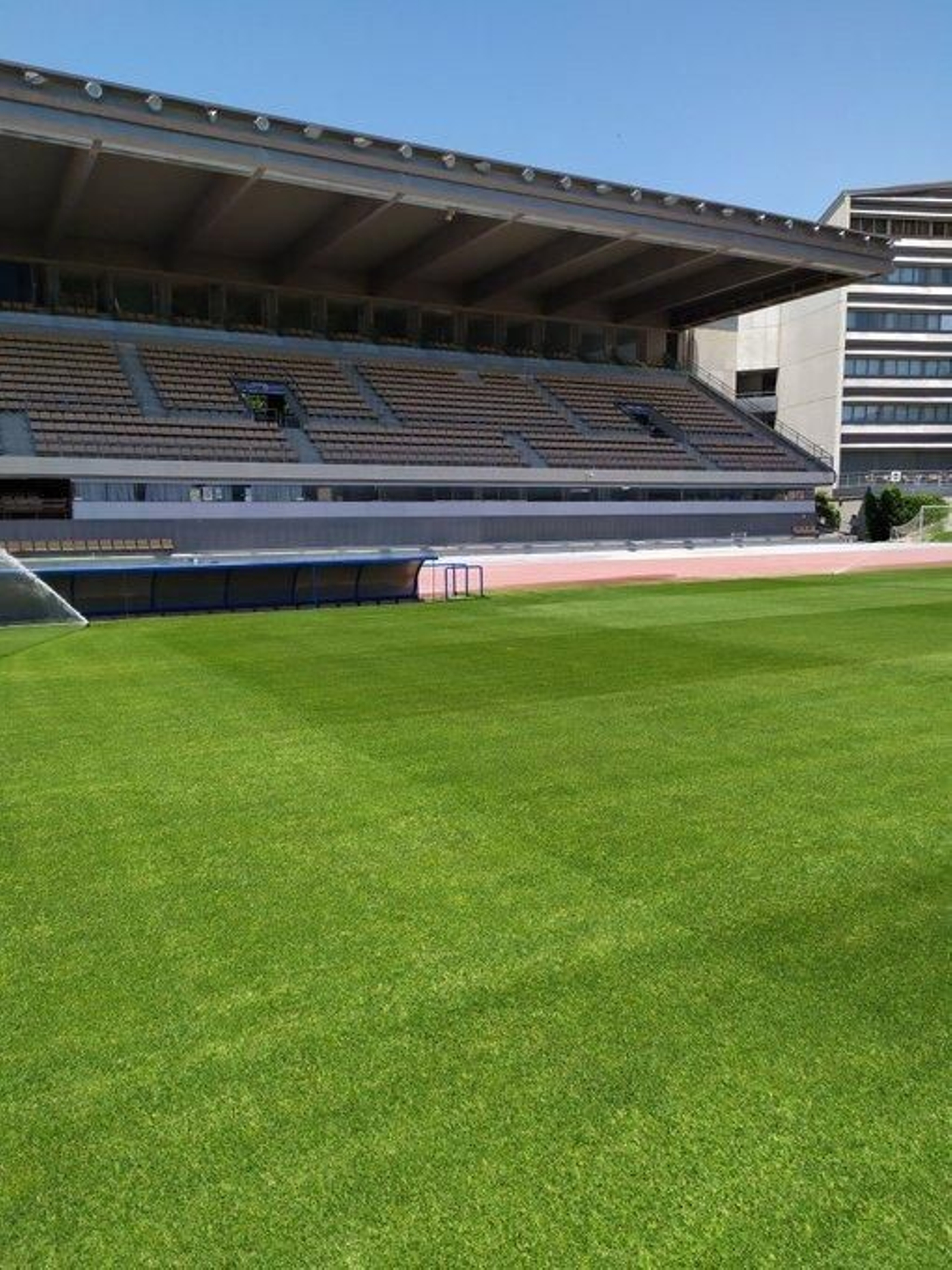 El césped de Chapín presenta un aspecto inmejorable.