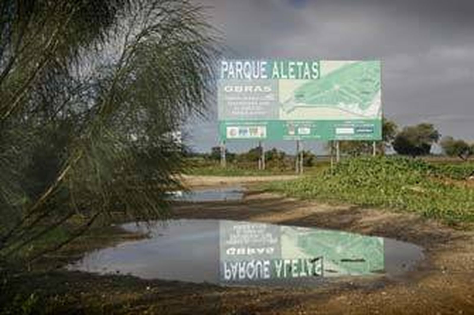 El suelo de Las Aletas, en una imagen de hace poco más de un mes. /JUlio González