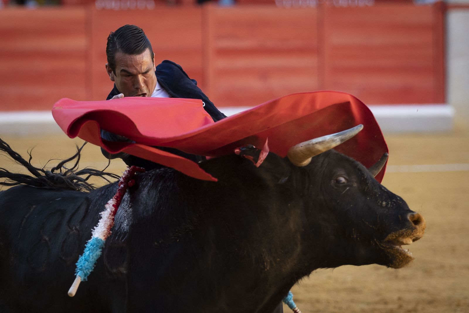 Las mejores imágenes del Festival Taurino en beneficio de Granadadown