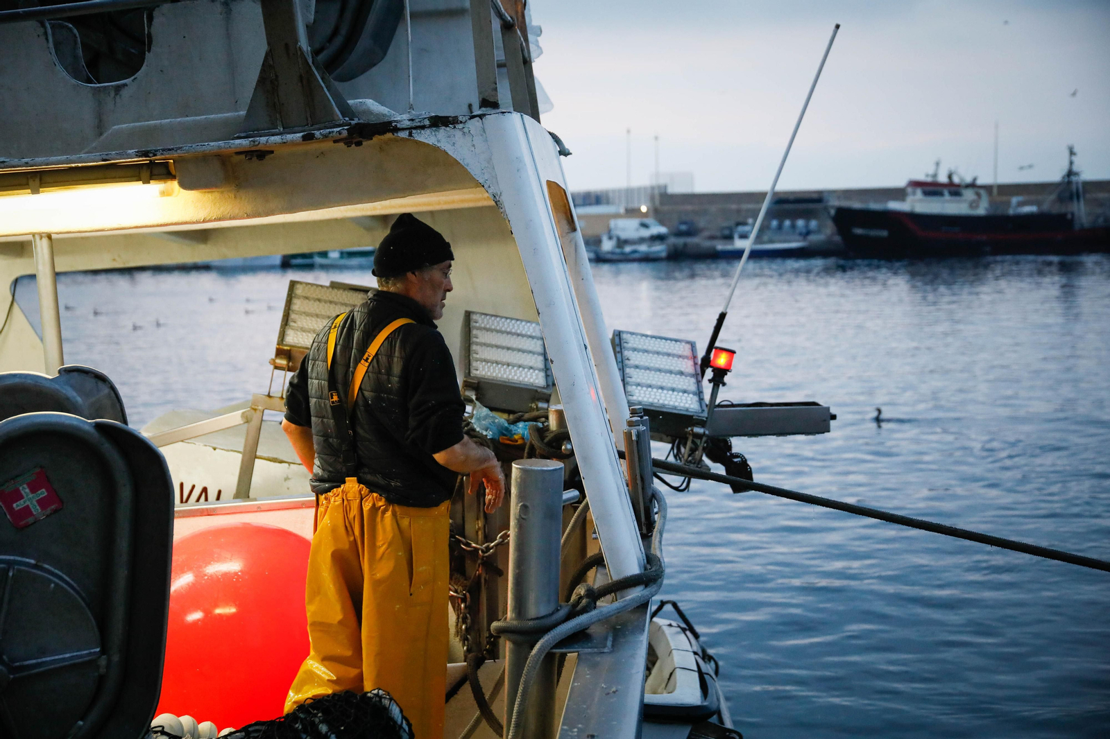 Te contamos en imágenes como ha sido la descarga de las traiñas en la lonja de Almería
