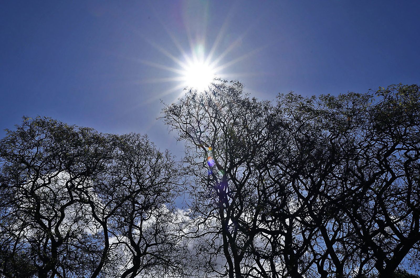Las imágenes mas destacadas del miércoles 1 de mayo en Huelva
