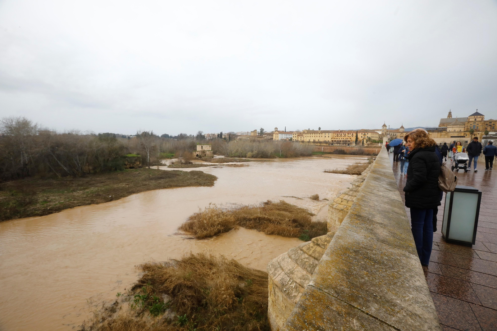 La crecida del río Guadalquivir en Córdoba tras las lluvias caídas por la borrasca Karlotta, en imágenes