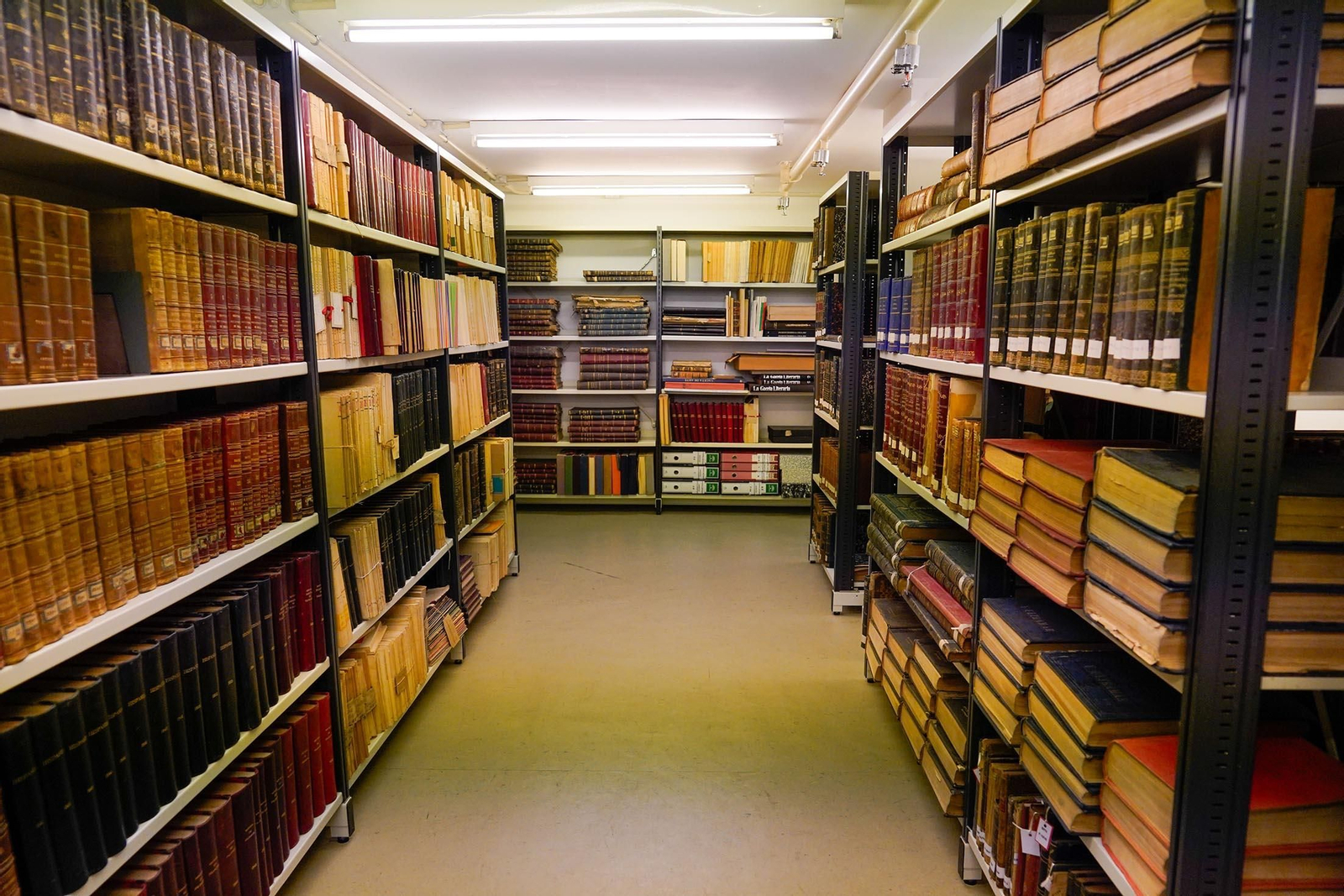 Depósito donde se encuentra el Fondo Antiguo de la Biblioteca de Huelva.