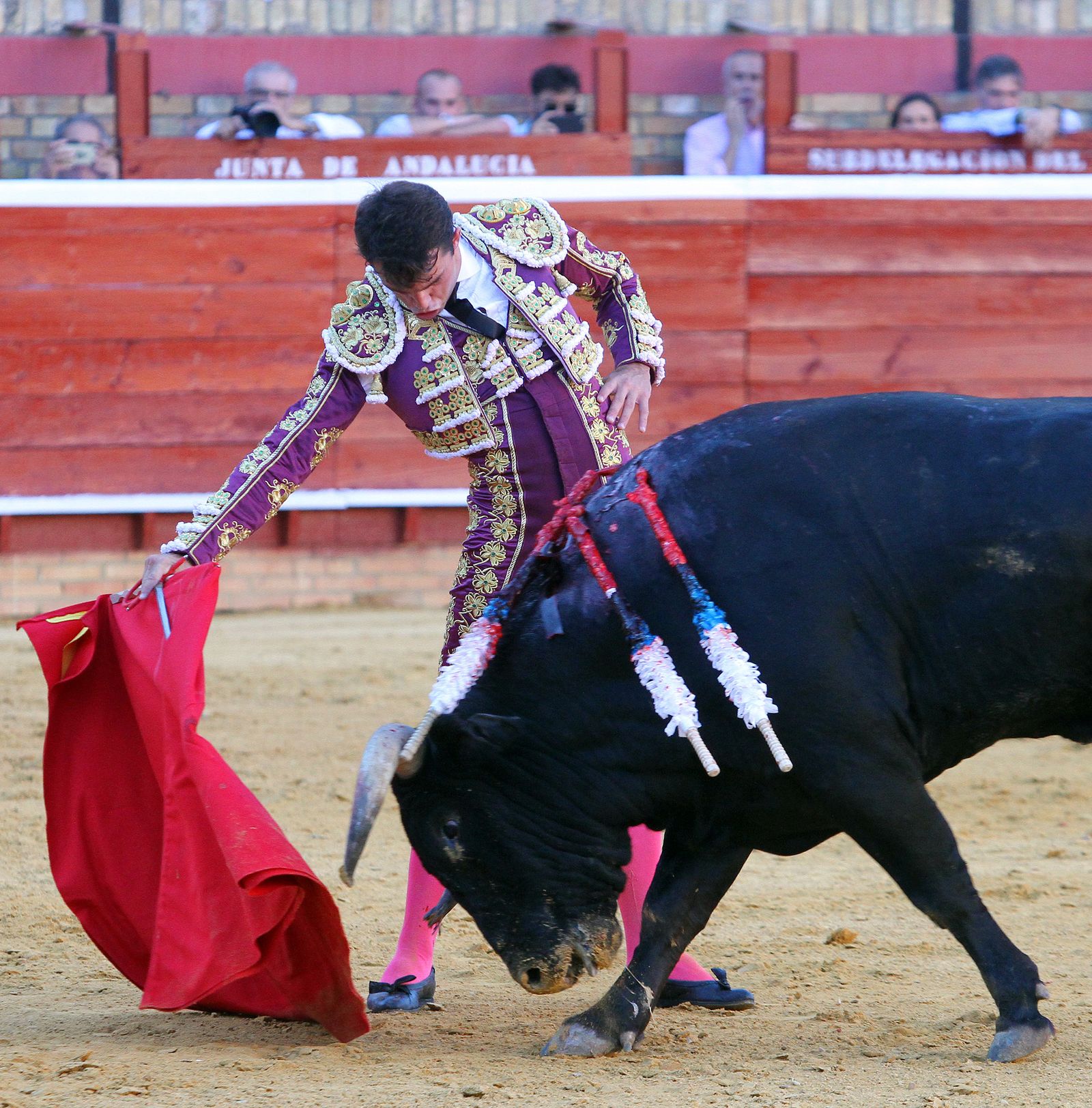 Imágenes de la Novillada de Rafael Serna, Emilio Silvera y Rodrigo Molina.