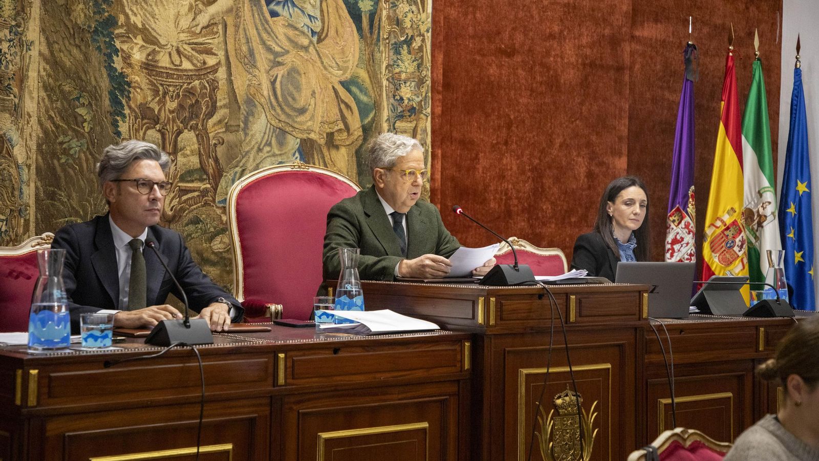 Un momento del Pleno de la Diputación de Córdoba.