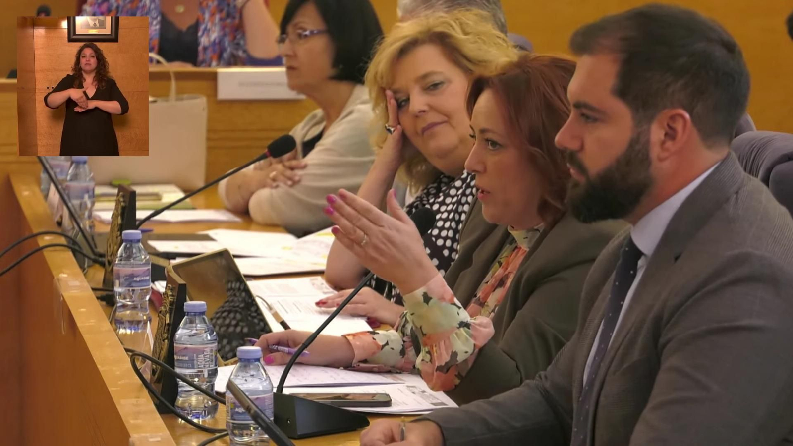 Un momento del pleno en la Diputación.