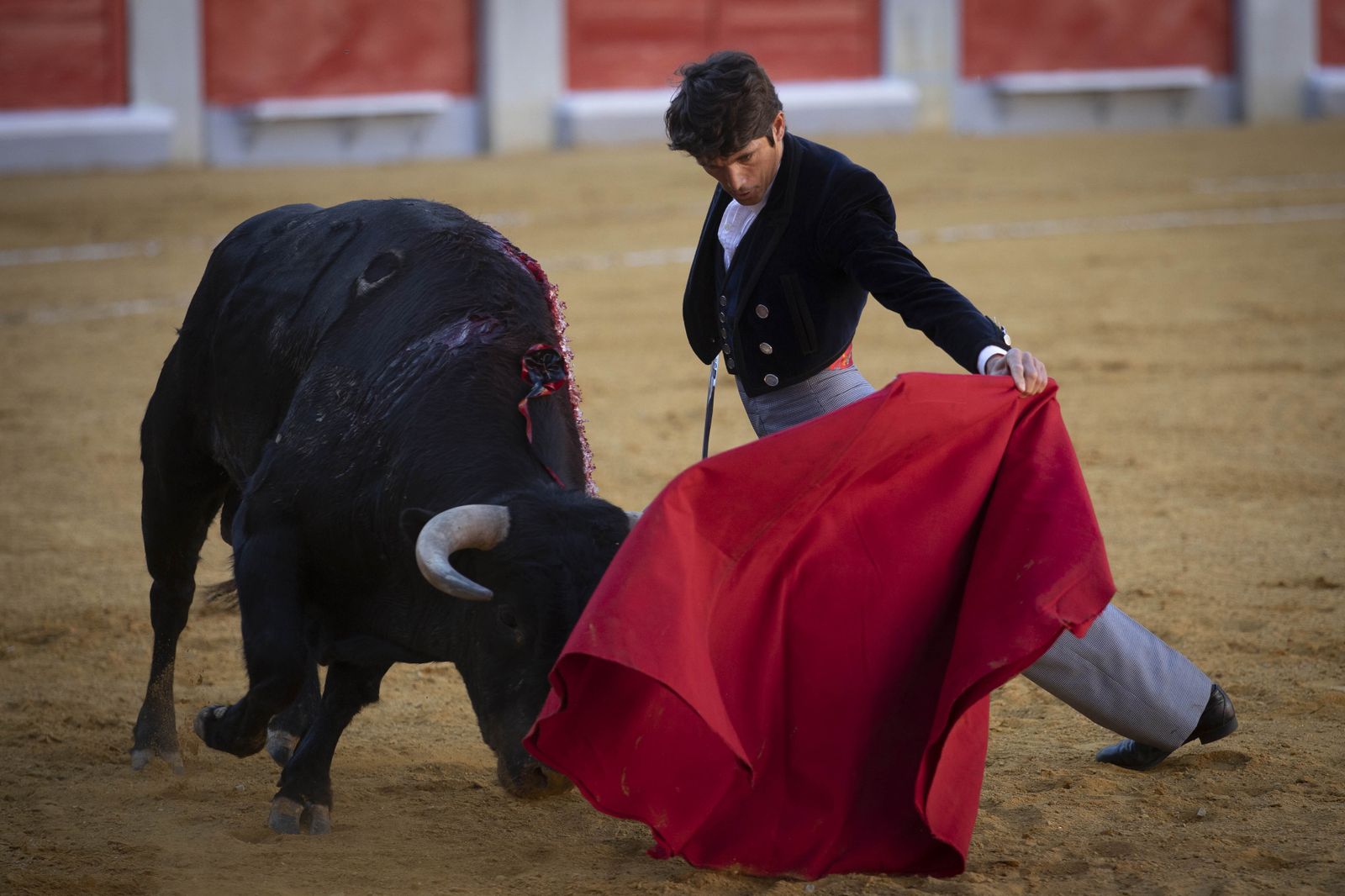 Las mejores imágenes del Festival Taurino en beneficio de Granadadown