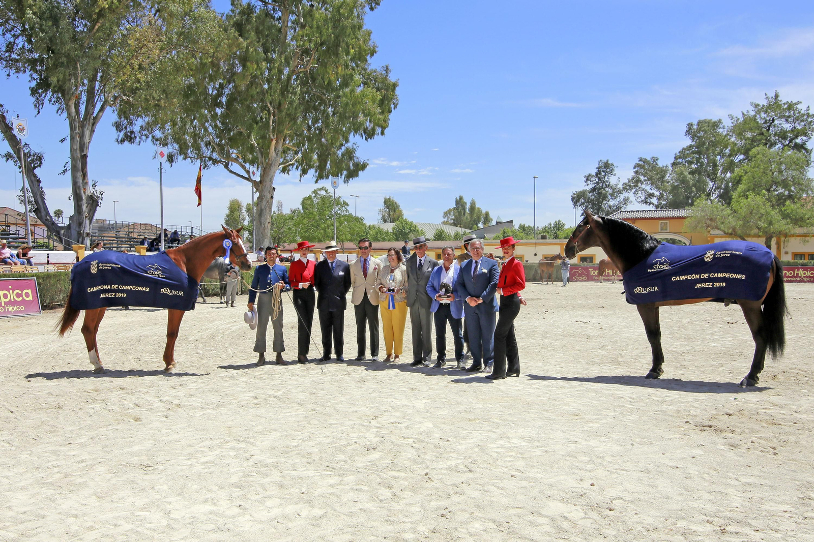 Trofeos de los concursos de Enganches y Morfológicos en la Feria de Jerez