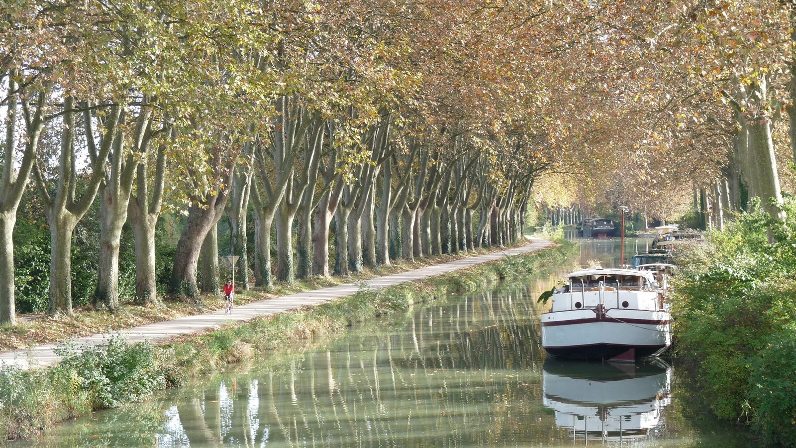 Navegar por el Canal du Midi.