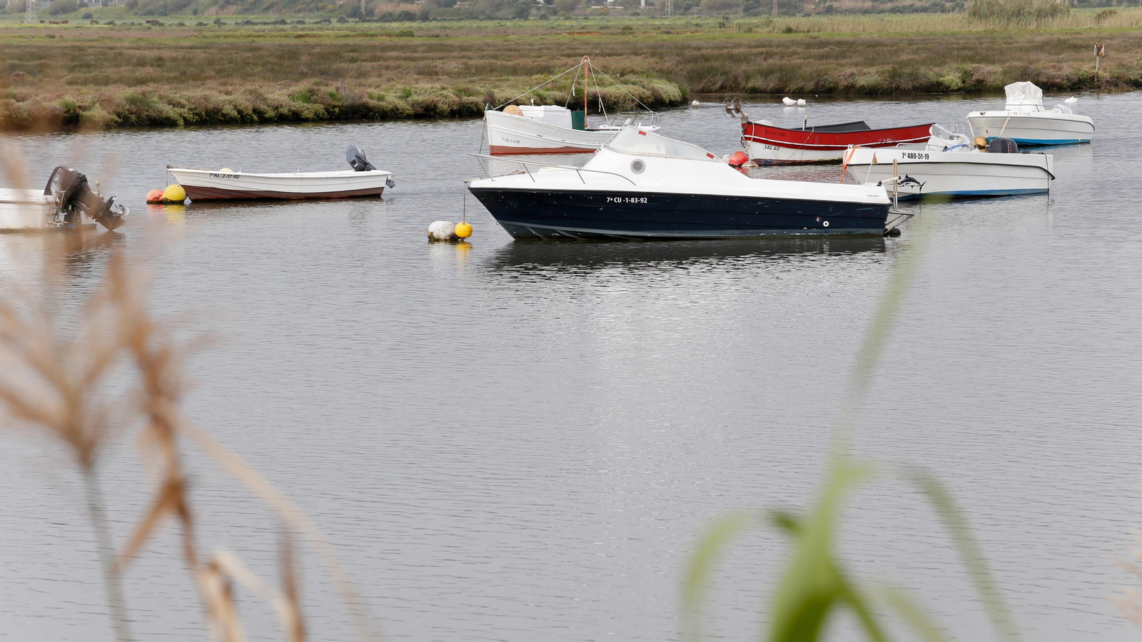 Un paseo por la ribera del Río Palmones, en imágenes