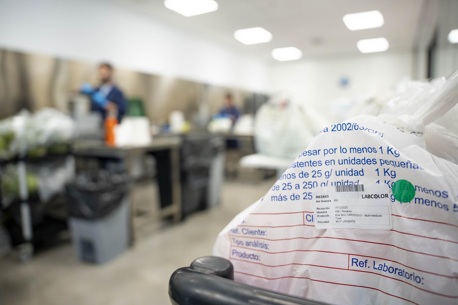 CIT COEX abre sus puertas al futuro: innovación, conocimiento y territorio