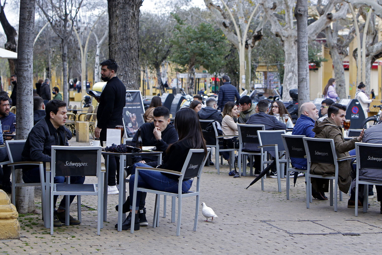 Ambiente en la Alameda de Hércules de Sevilla, en febrero