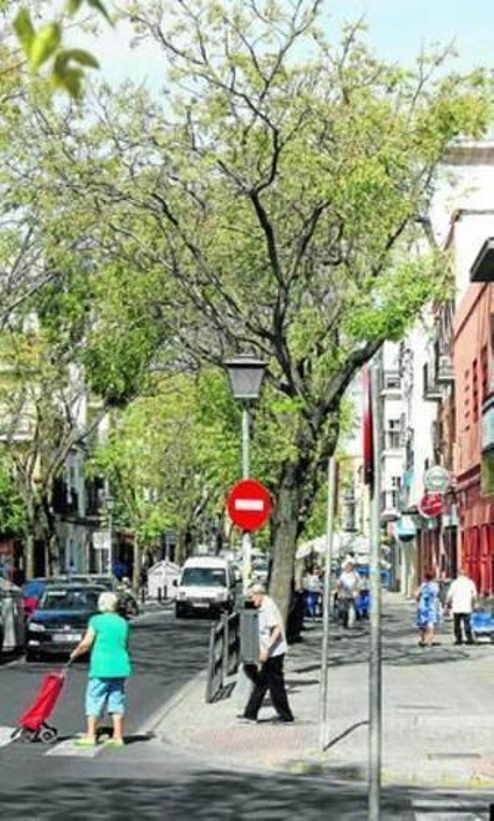 Imagen de la calle Afán de Ribera.