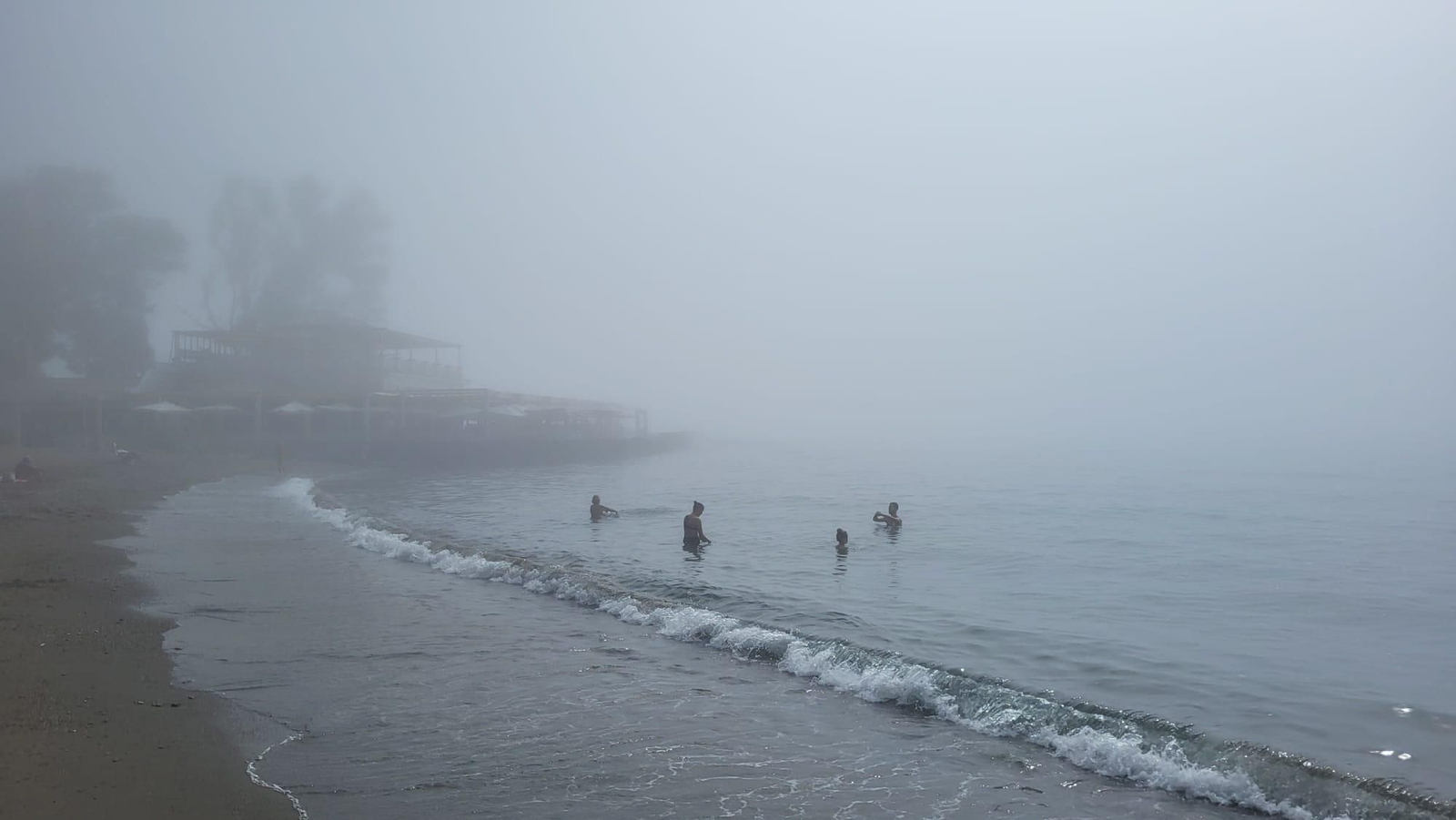 El taró irrumpe en las playas de Málaga este sábado.