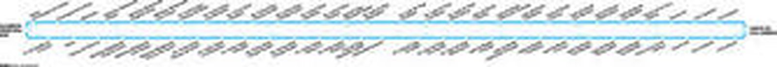 En la página anterior,  un autobús de la línea 21 en la primera parada del trayecto, en la Alameda Principal. En esta página, de arriba a abajo y de izquierda