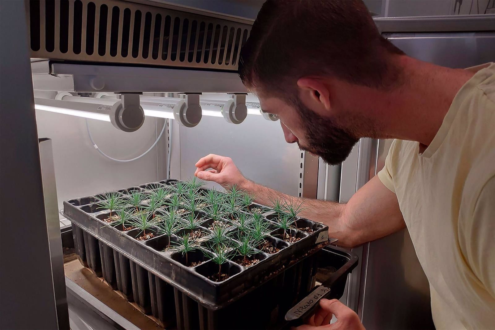 Investigación desarrollada en la UMA.