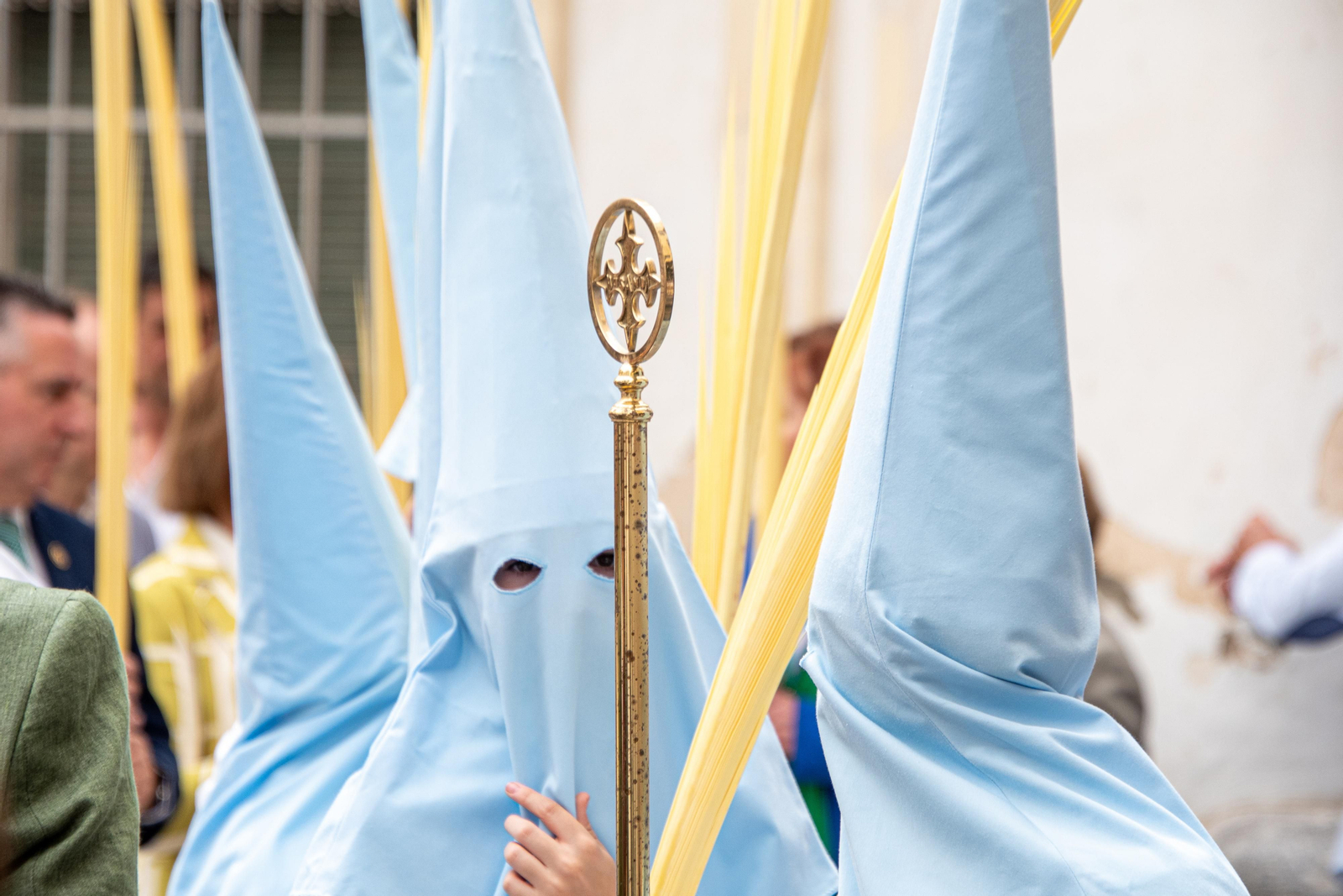 La procesión de la Borriquita de Montilla el Domingo de Ramos 2024, en imágenes