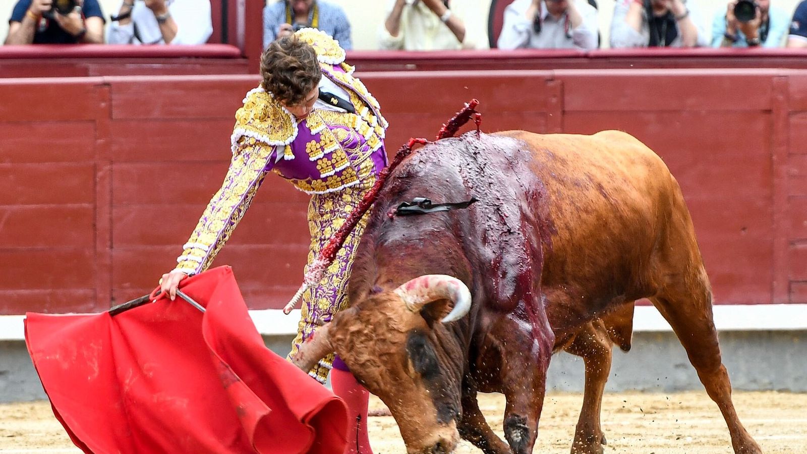 El torero instrumenta un soberbio derechazo que hace humillar al novillo