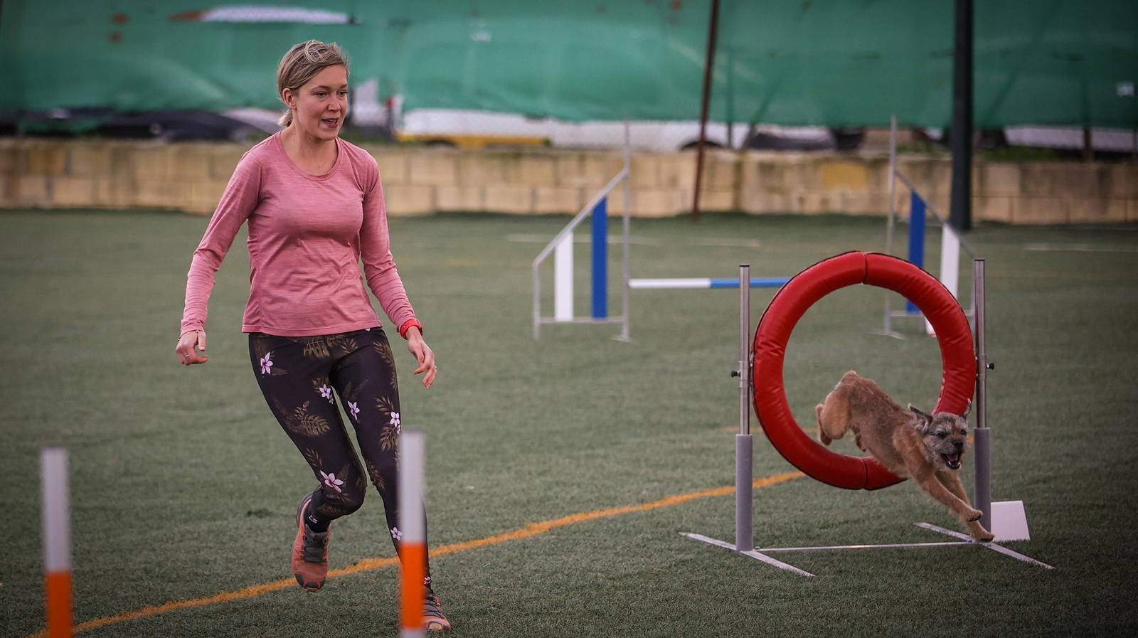 Habilidad canina en la prueba puntuable para el Campeonato de España de 'Agility' celebrado en Jerez Espectaculares las pruebas de disciplina canina puntuables para el Campeonato de España de Agility